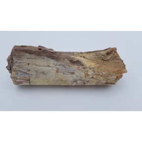 Edmontosaurus (Edmontosaurus)