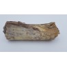 Edmontosaurus (Edmontosaurus)