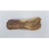 Edmontosaurus (Edmontosaurus)