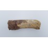 Edmontosaurus (Edmontosaurus)
