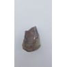 Hypacrosaurus (Hypacrosaurus) 1