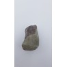 Hypacrosaurus (Hypacrosaurus) 1