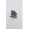 Hypacrosaurus (Hypacrosaurus) 2