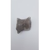 Hypacrosaurus (Hypacrosaurus) 2