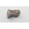 Hypacrosaurus (Hypacrosaurus) 2