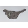 Hypacrosaurus (Hypacrosaurus) 3