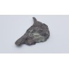Hypacrosaurus (Hypacrosaurus) 3