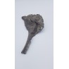 Hypacrosaurus (Hypacrosaurus) 3