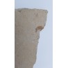 Crevette 3 