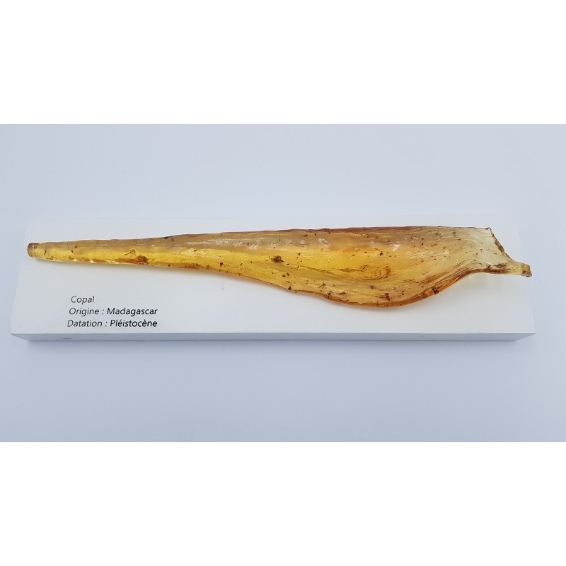Copal (ambre) de Madagascar