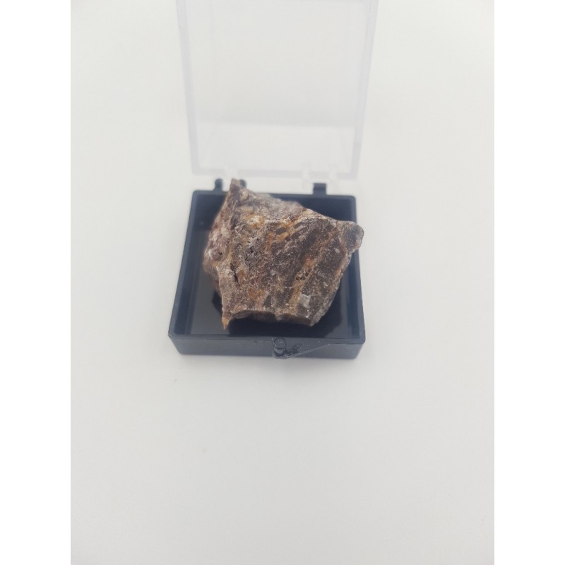 Stromatolithe de 3,49 milliards d'années