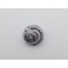 Escargot Helix ramondi fossile en lussatite