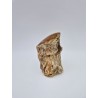 Tronc d'arbre pétrifié fossile