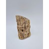 Tronc d'arbre pétrifié fossile