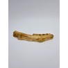 Mandibule fossile de crocodile Hamadasuchus rebouli Mandibule fossile de crocodile Hamadasuchus rebouli