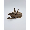Crâne de Tricératops miniature Crâne de Tricératops miniature