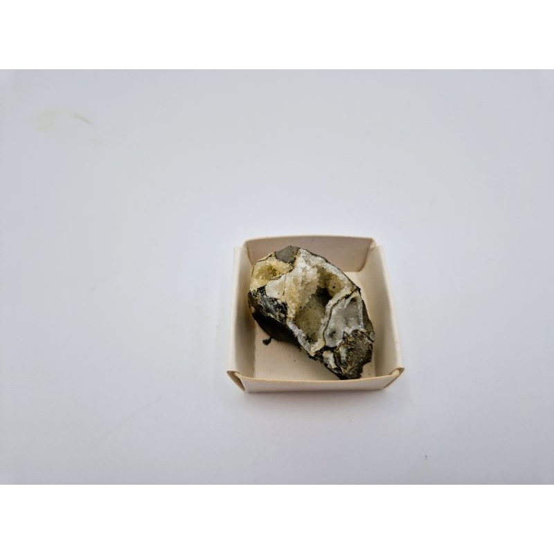 Ammonite avec minéraux (2)