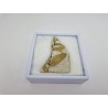 Plante fossile de Murat