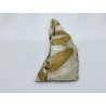 Plante fossile de Murat