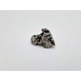 Météorite Campo Del Cielo 1