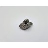 Météorite Campo Del Cielo 1