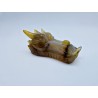 Crâne de dragon en agate
