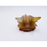 Crâne de dragon en agate